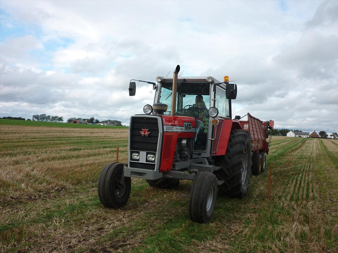 Massey Ferguson 2680 billede 10