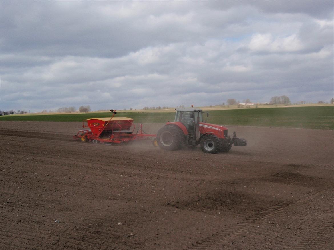 Massey Ferguson 7480 DynaVT billede 11