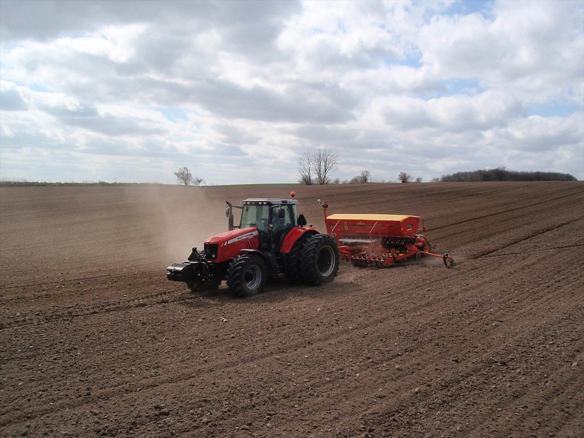 Massey Ferguson 7480 DynaVT billede 14