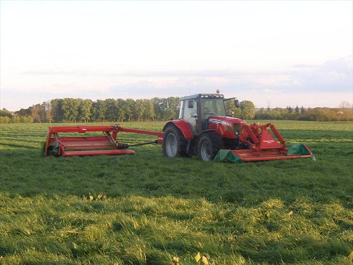 Massey Ferguson 7480 DynaVT billede 16