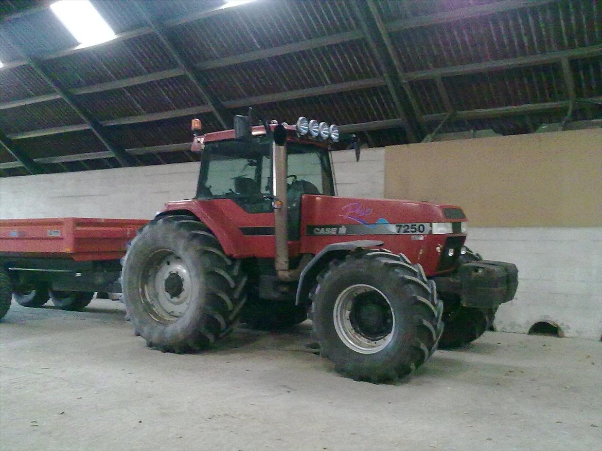 Case IH Magnum 7250 Pro - Den første dag jeg kørte med den.. Skulle hente raps til såsæd  billede 1