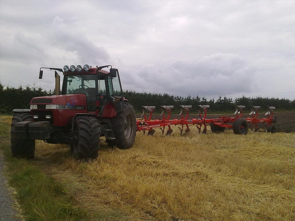 Case IH Magnum 7250 Pro billede 7