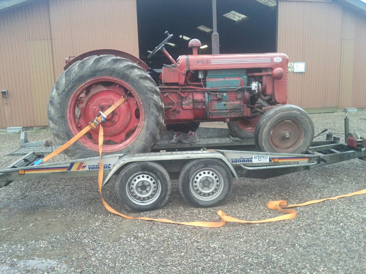 Bukh 403 super billede 2
