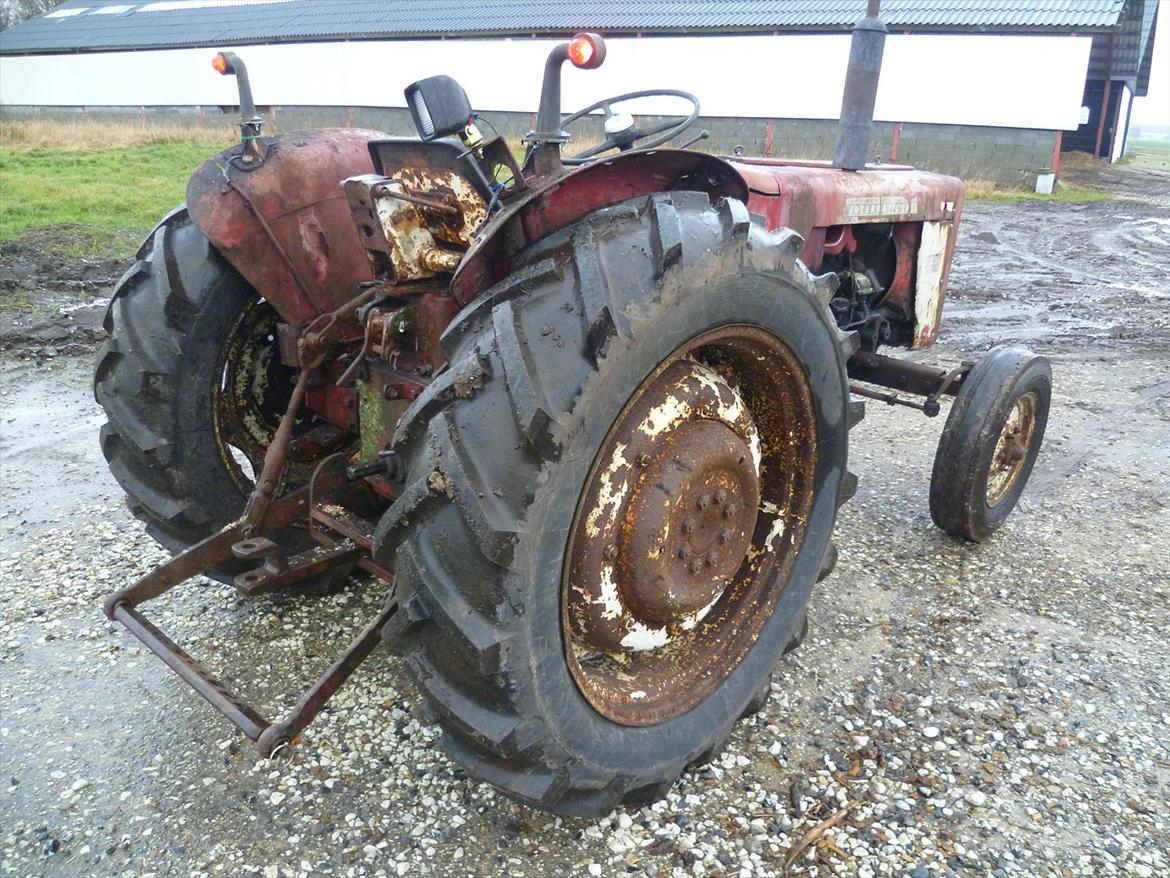 International Harvester 434 billede 4