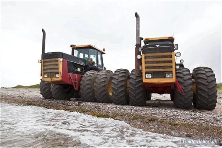 Bühler Versatile 976 - smut billed af vores to sukkergrise billede 5