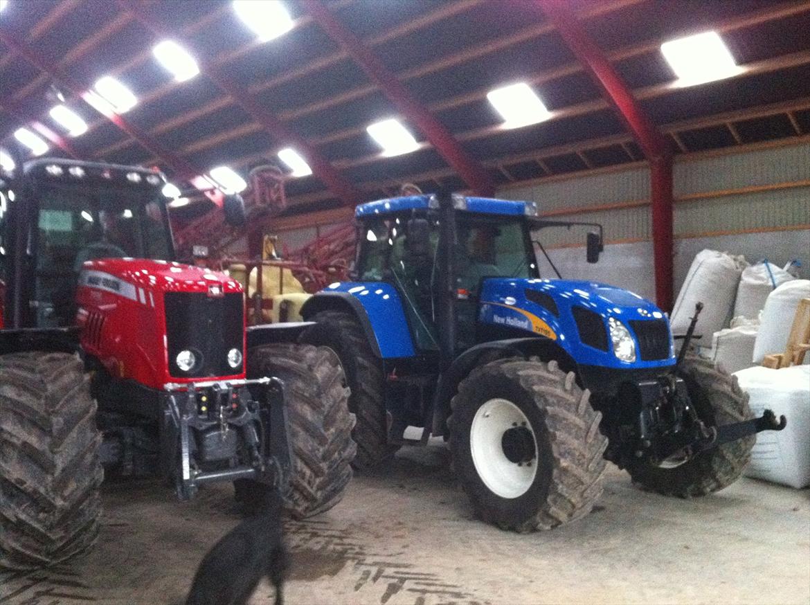 Massey Ferguson 7499 billede 3