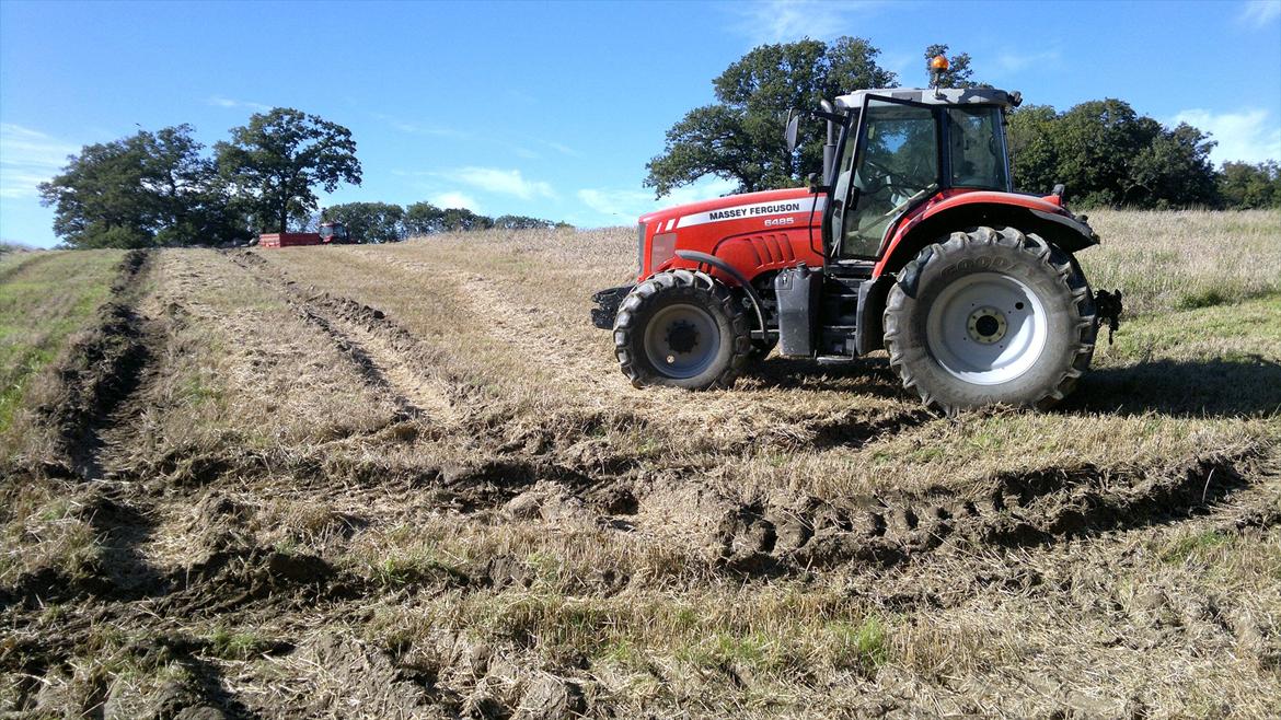 Massey Ferguson Dyna-6 6485 - Våd høst, så MF'en fik jobbet at køre og trække tærsken op. Så Case'en fik den lille vogn på. billede 4