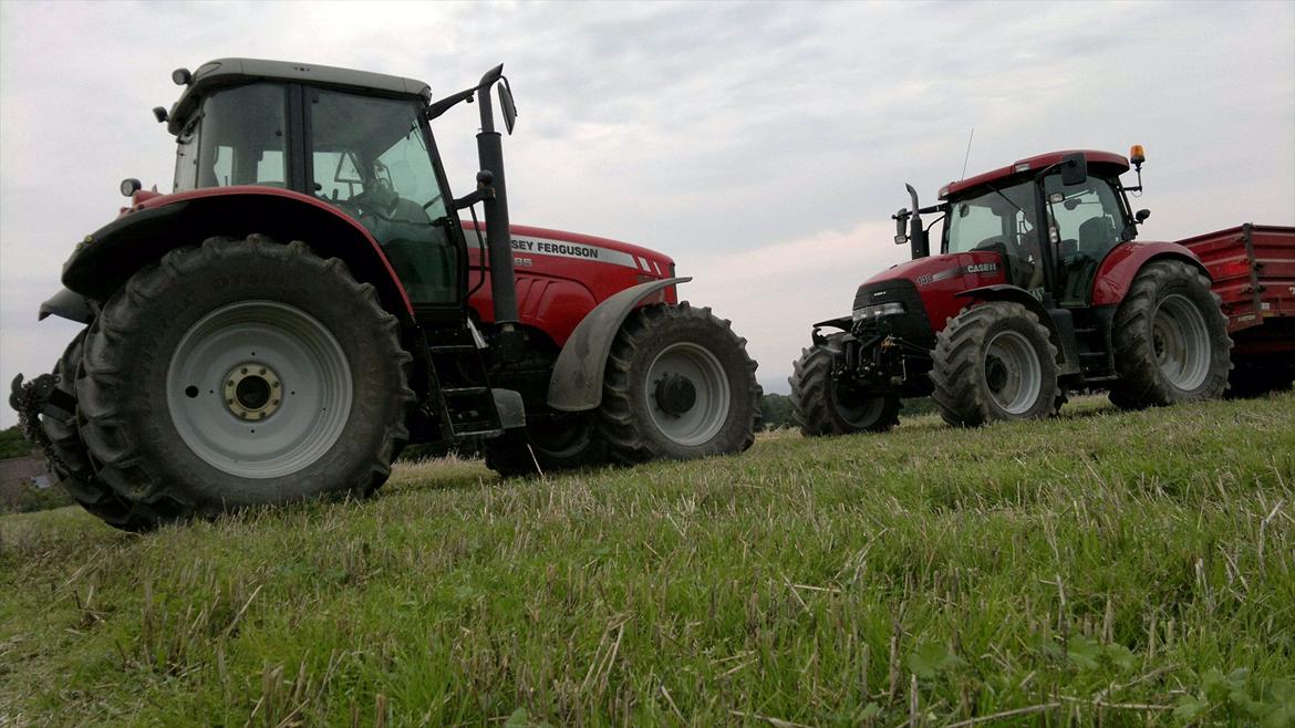 Massey Ferguson Dyna-6 6485 - Våd høst, så MF'en fik jobbet at køre og trække tærsken op. Så Case'en fik den lille vogn på. billede 5