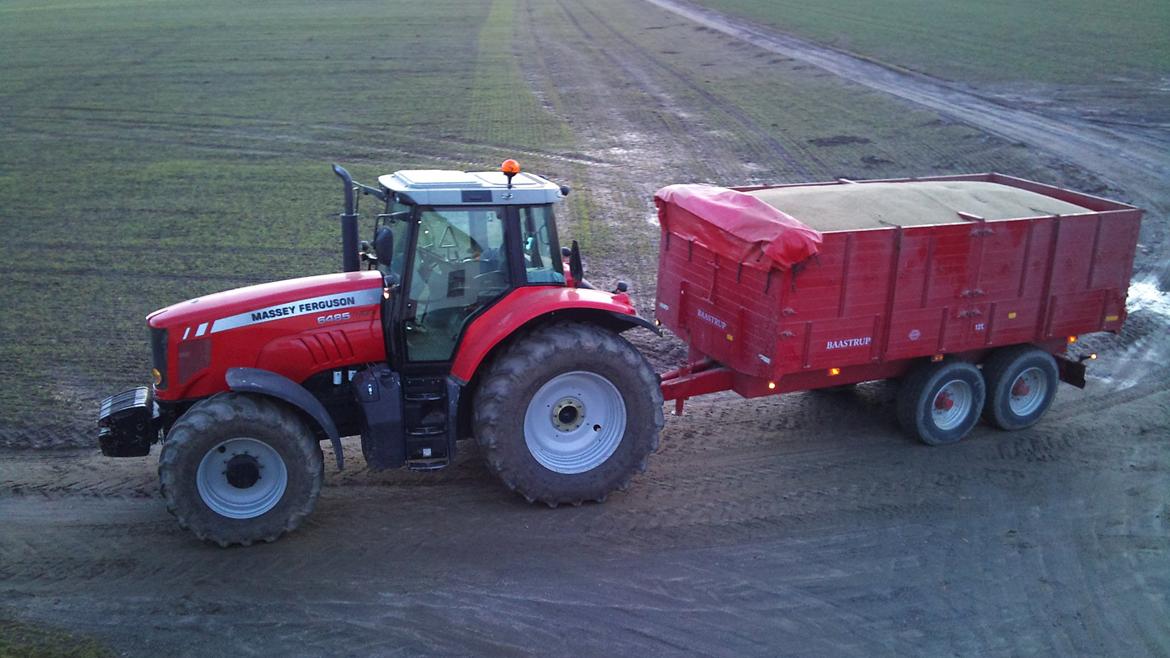 Massey Ferguson Dyna-6 6485 - Kornhenting.  billede 9
