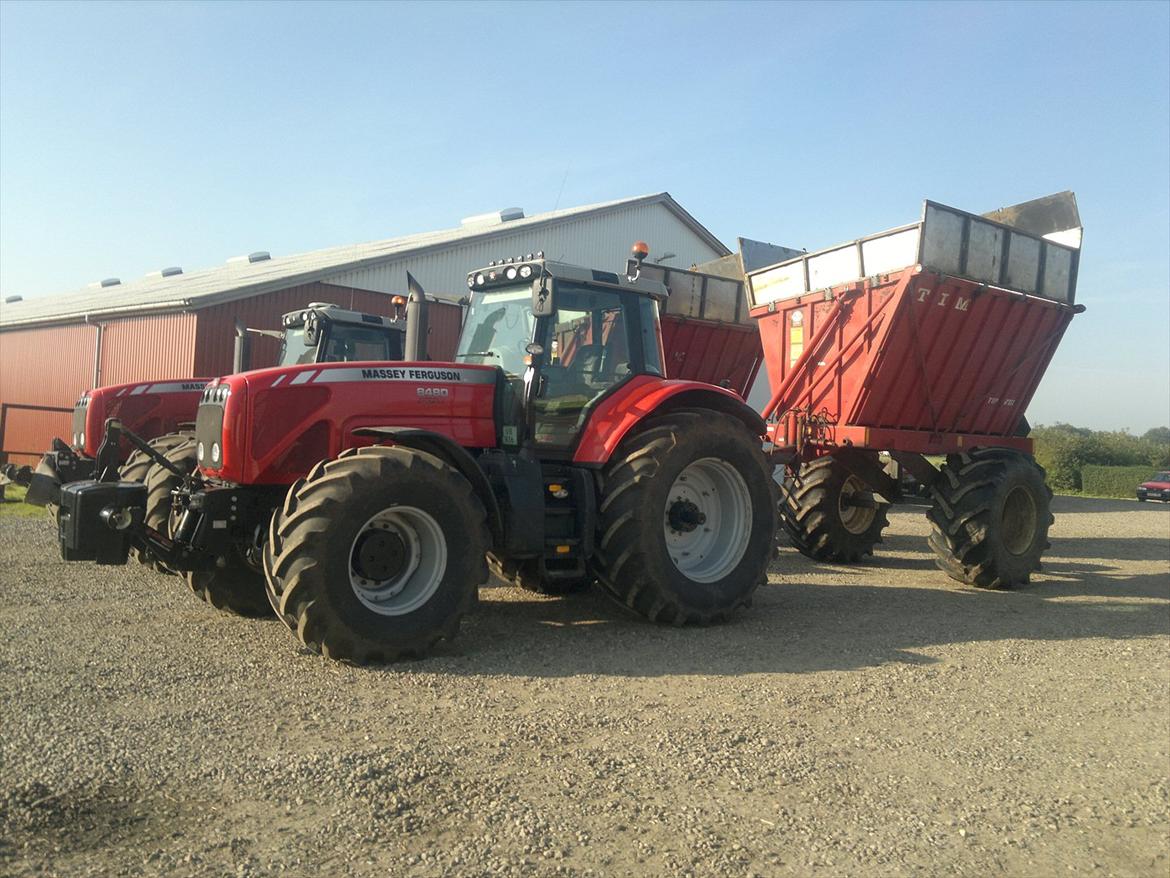 Massey Ferguson 8480 billede 15