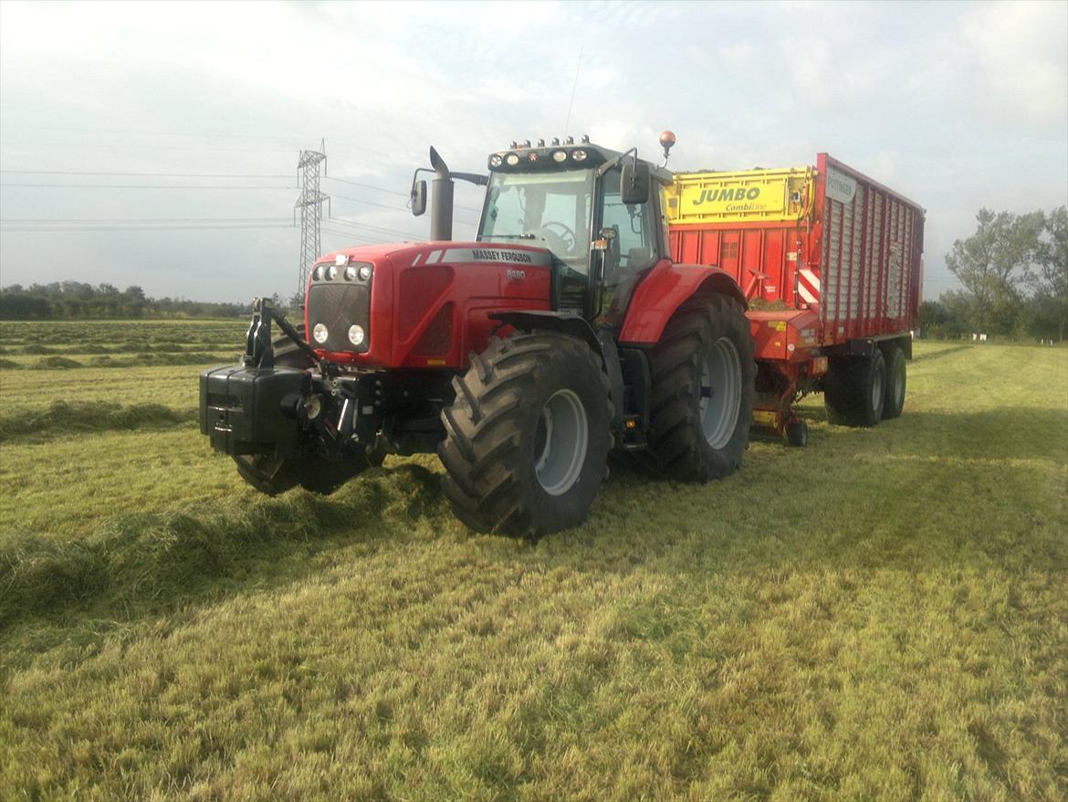 Massey Ferguson 8480 billede 6