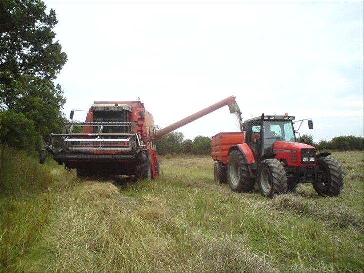 Massey Ferguson 6290 billede 7