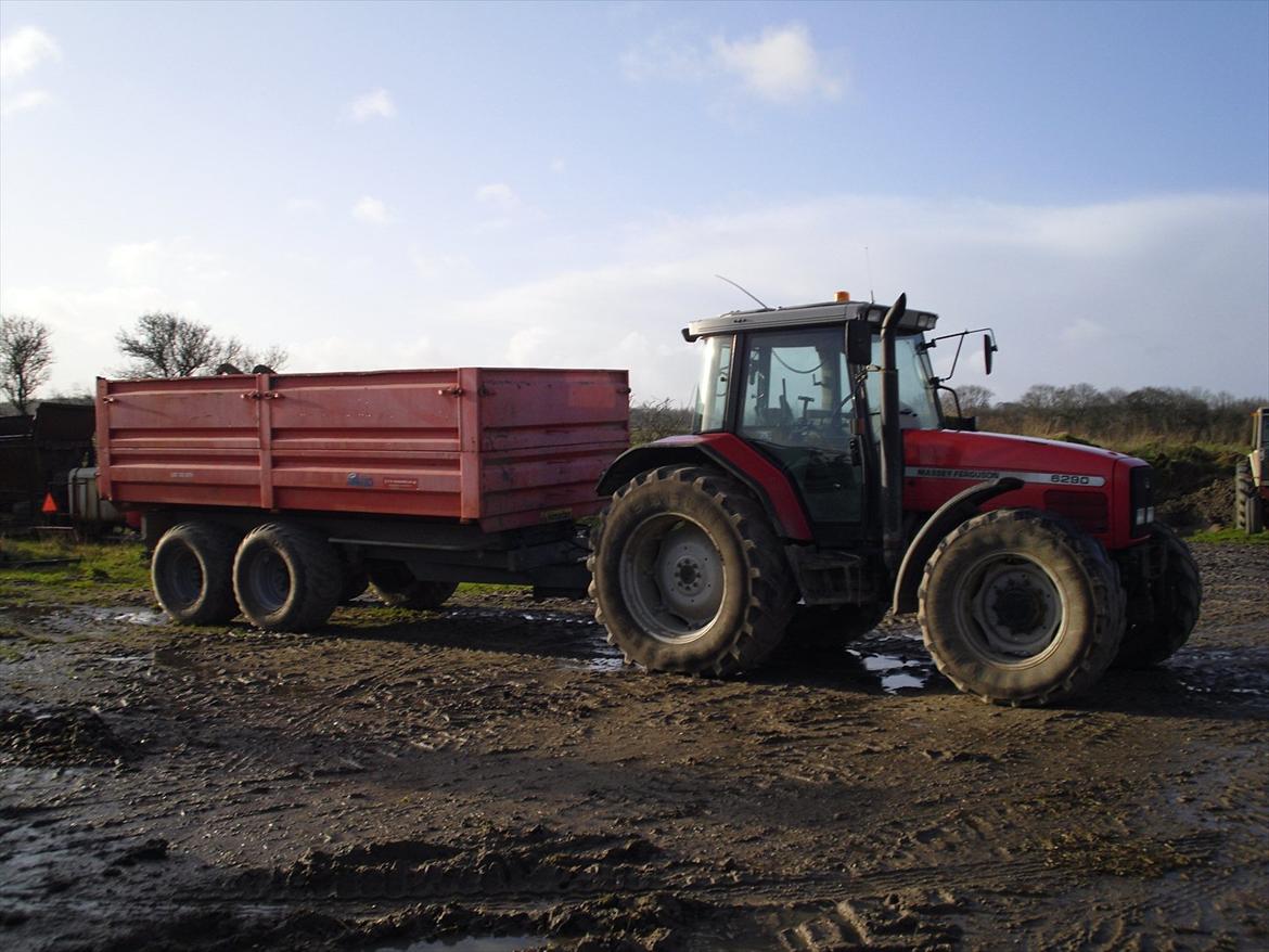 Massey Ferguson 6290 billede 2