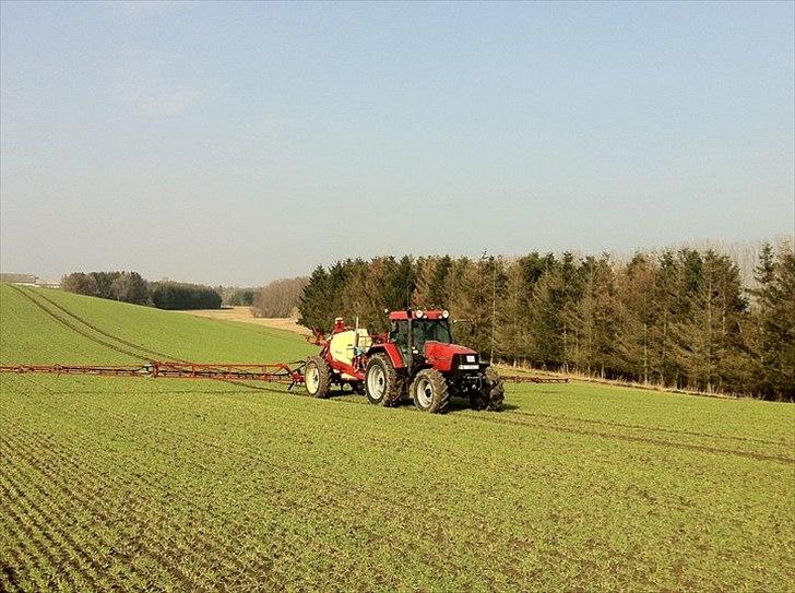 Case IH MX 110 [Chauffør] - Ude og sprøjte billede 4