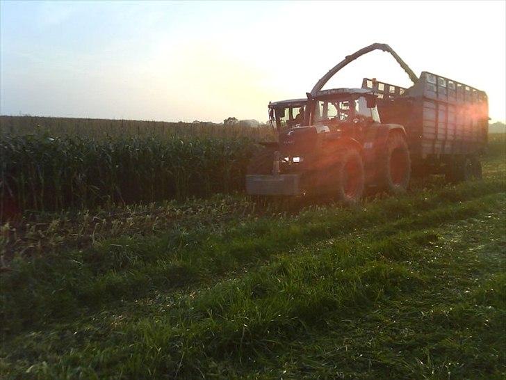 Fendt 930 TMS billede 19