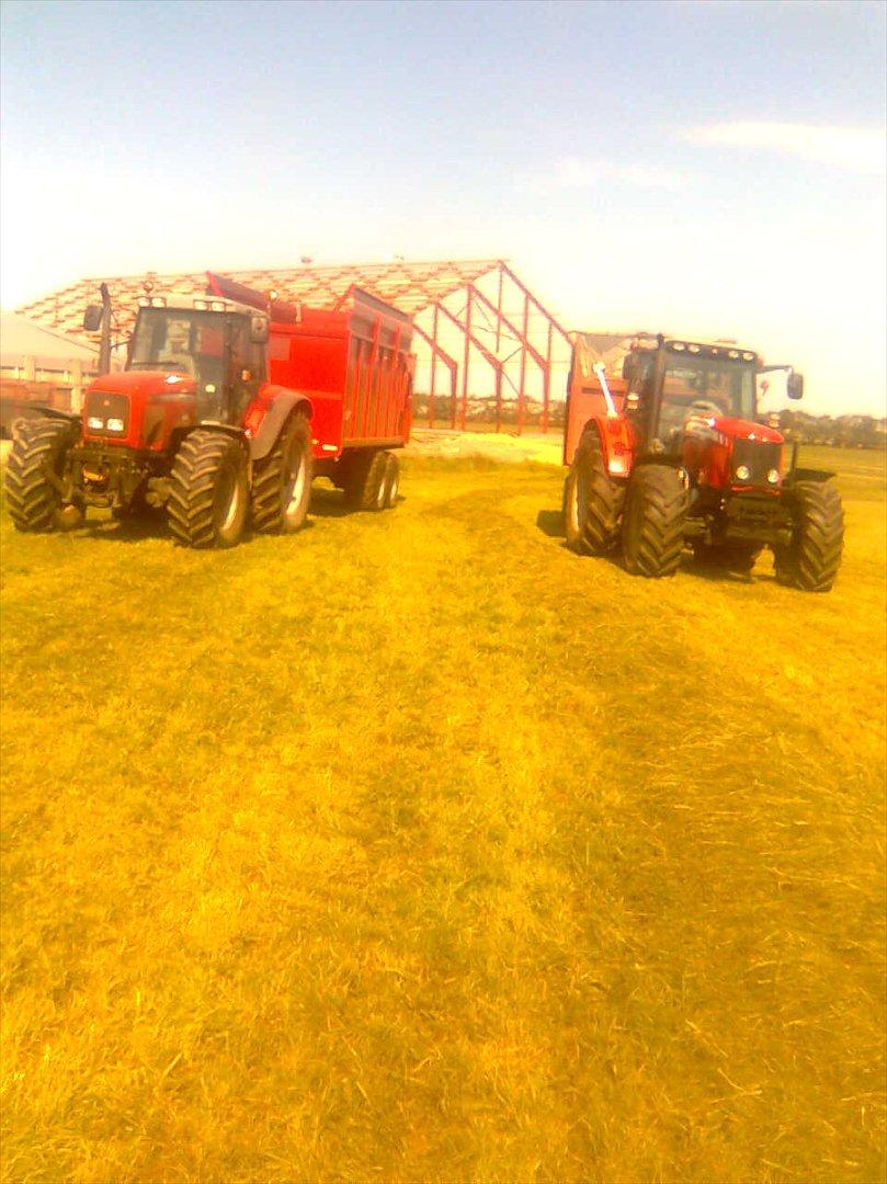 Massey Ferguson 6480 Dyna 6 billede 10
