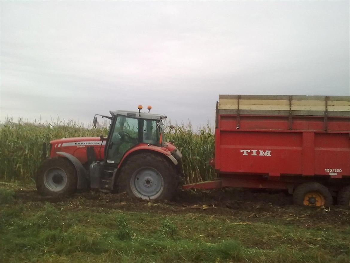 Massey Ferguson 6480 Dyna 6 billede 14