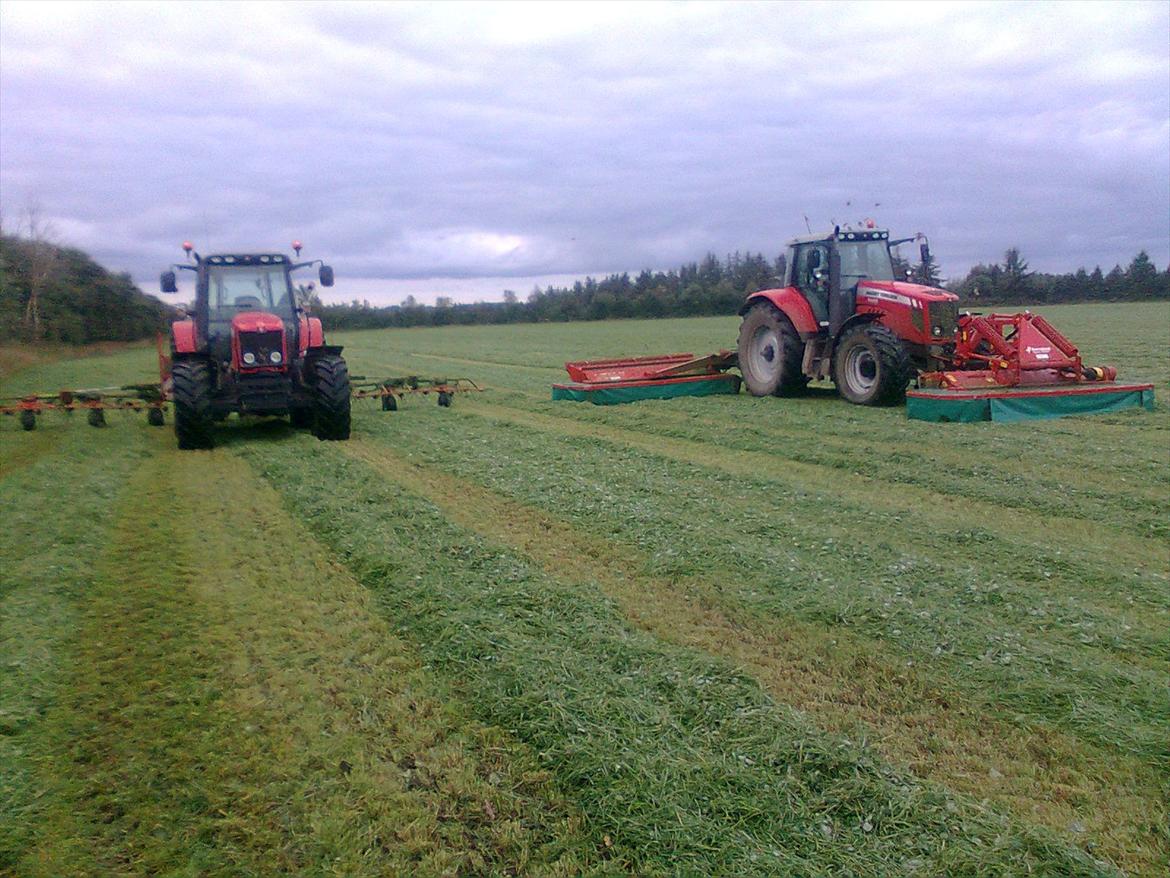 Massey Ferguson 6480 Dyna 6 billede 20