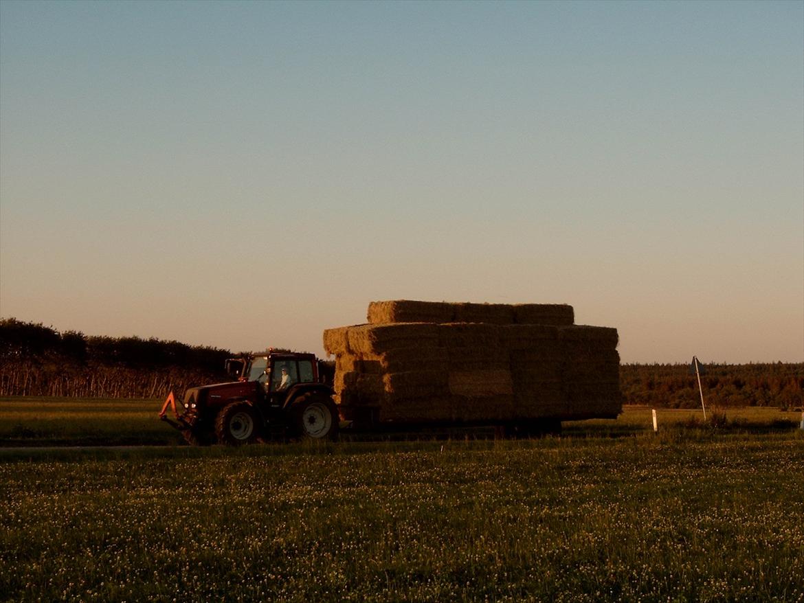 Valtra 8150 - hjem kørsel af hø 
 billede 3