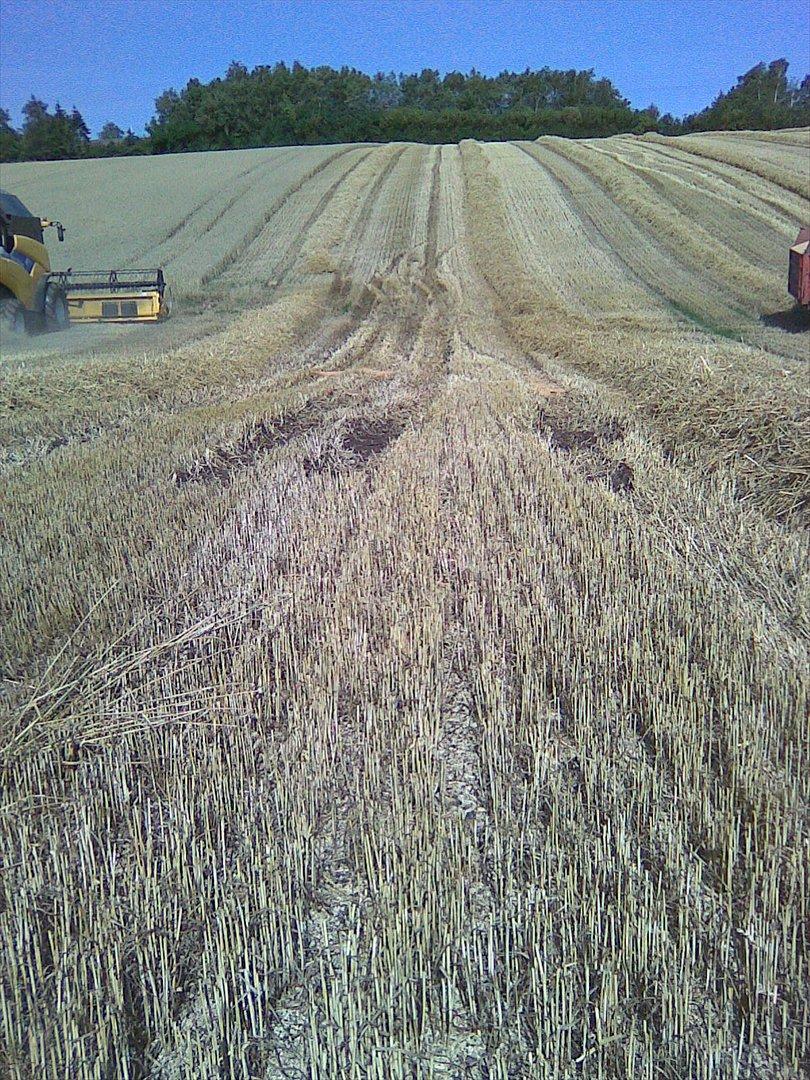 Ford 7810 - Den ville ikke op af bakken billede 5