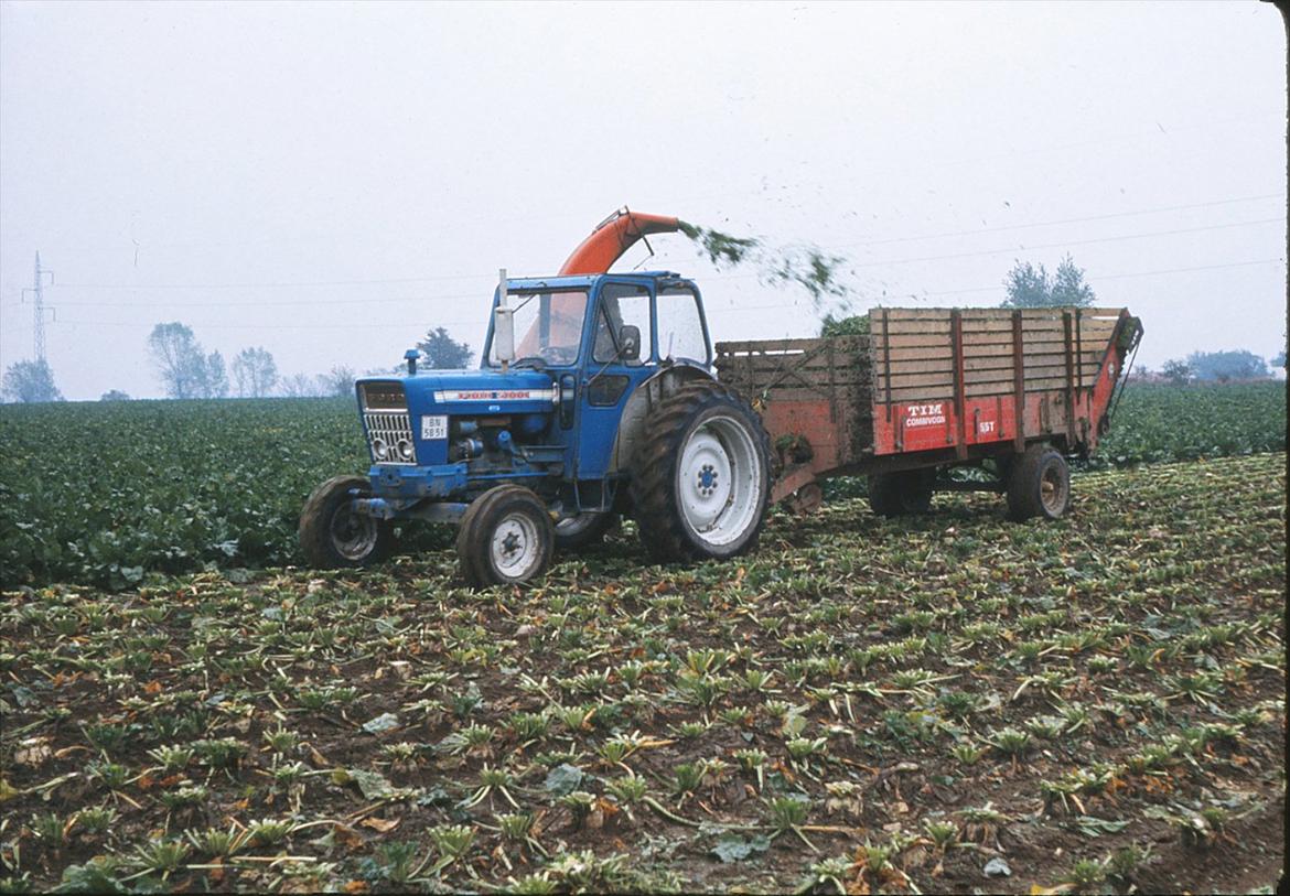 Ford 5000 Y - En normal arbejdsdag for Forden i midten af fierserne. Godt man ikke var medhjælper dengang ;0) billede 9