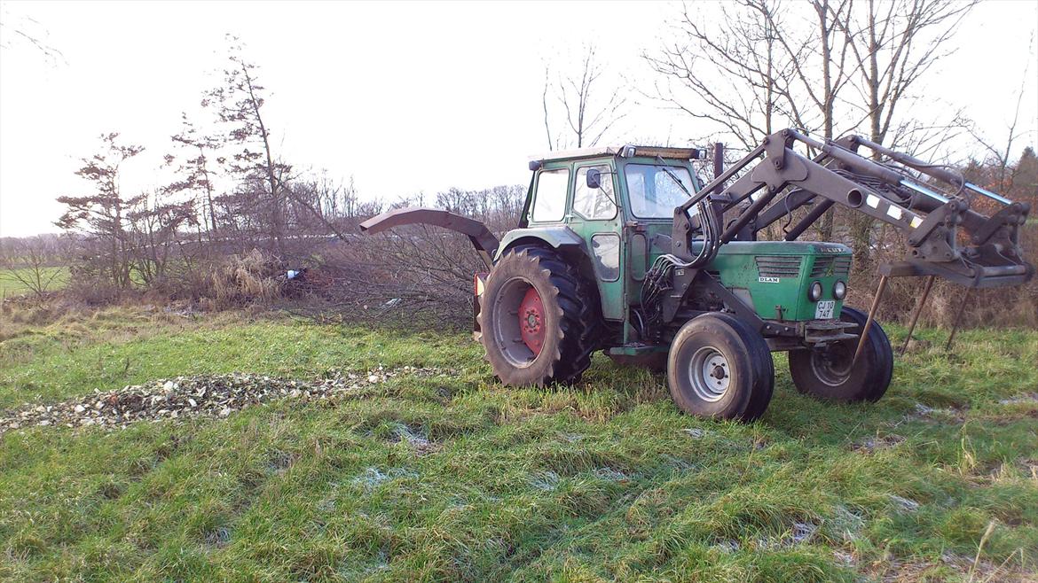 Deutz-Fahr D 7006 - igang med og hugge lidt flis, da vi er ved og rydde 15m læhegn mellem 2 marker billede 14