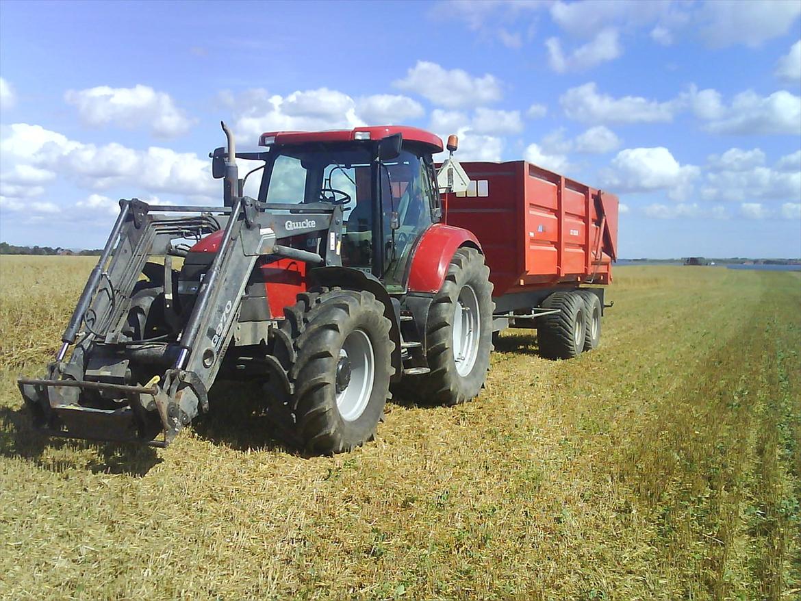 Case IH Maxxum 140  - Mig der køre korn fra, i 2011 billede 1
