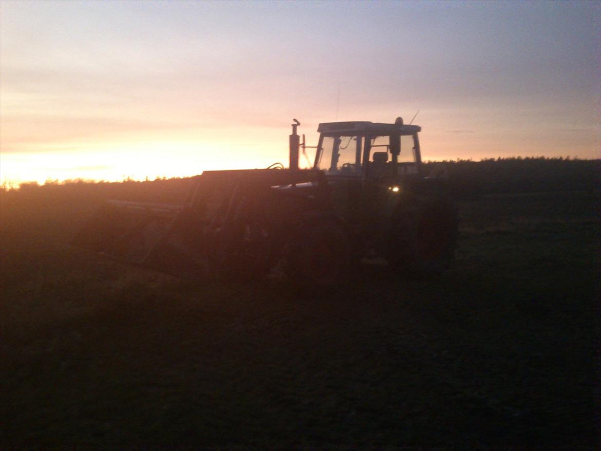 Fendt 311 lsa - var lige ved at fodre grise :)  billede 9