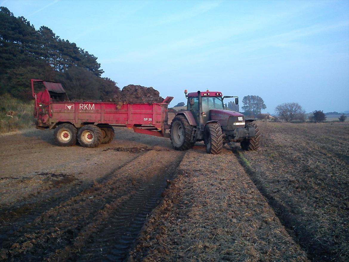 Case IH mx 170 billede 5