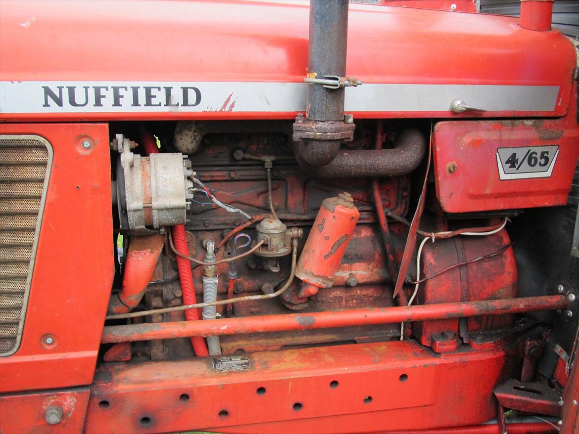 Nuffield 4-65 - venstre side af motor med 90 A generator billede 7