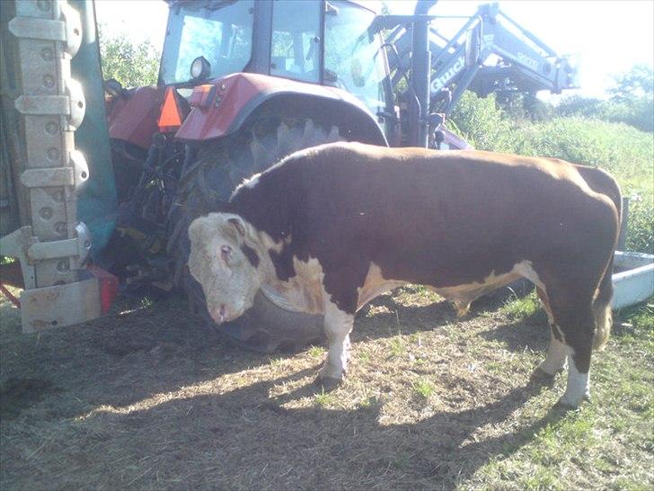 Case IH CS 110 billede 7
