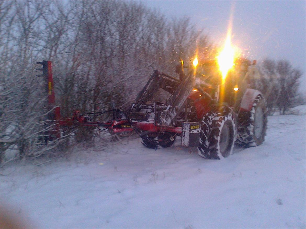Case IH Maxxum 140  - der klippes læhegn billede 6