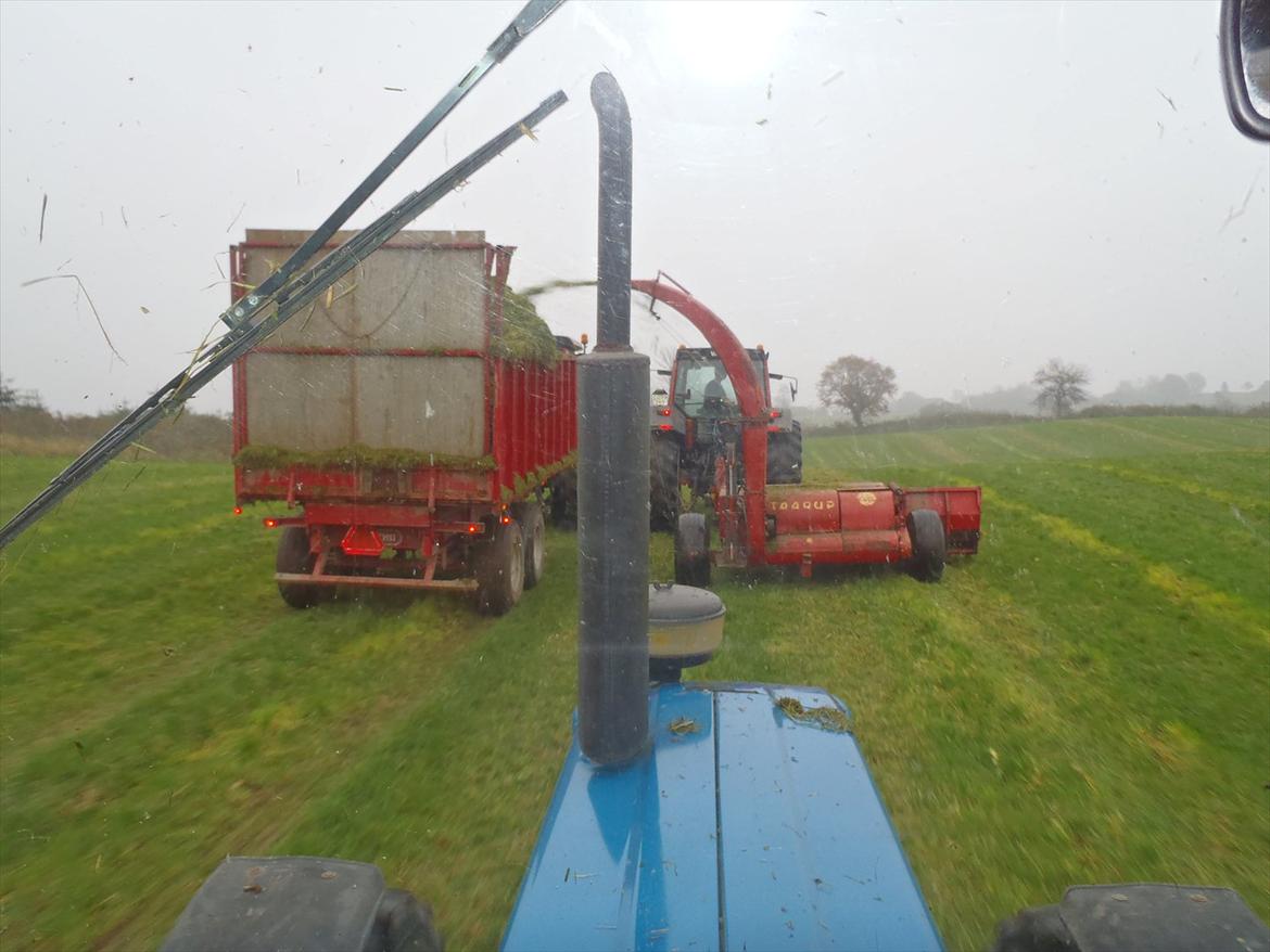 Ford 7810 generationIII - Taarup 605 B snitteren æder bare græsset.... det ville nok gå endnu vildere med en Ford TW for.... billede 14