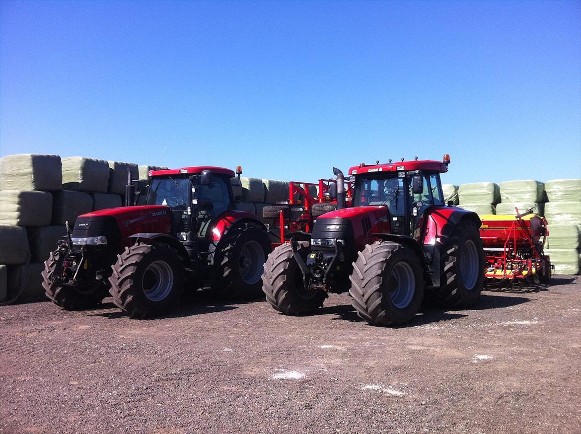 Case IH Puma 225 CVX [Chauffør] - Puma med cultus 175 med såsæt. Klar til udstilling billede 2