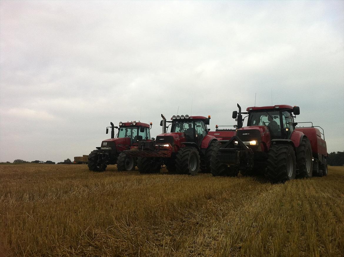 Case IH Puma 225 CVX [Chauffør] - Presser team billede 6