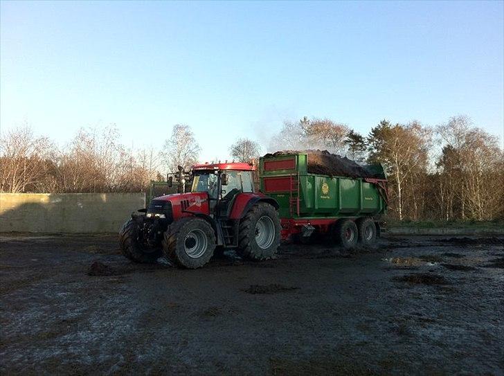 Case IH 175 CVX [Chauffør] - Flytter heste lort billede 5