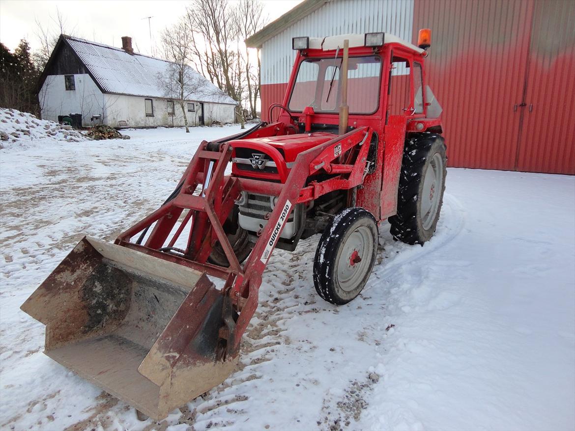 Massey Ferguson 135 billede 1