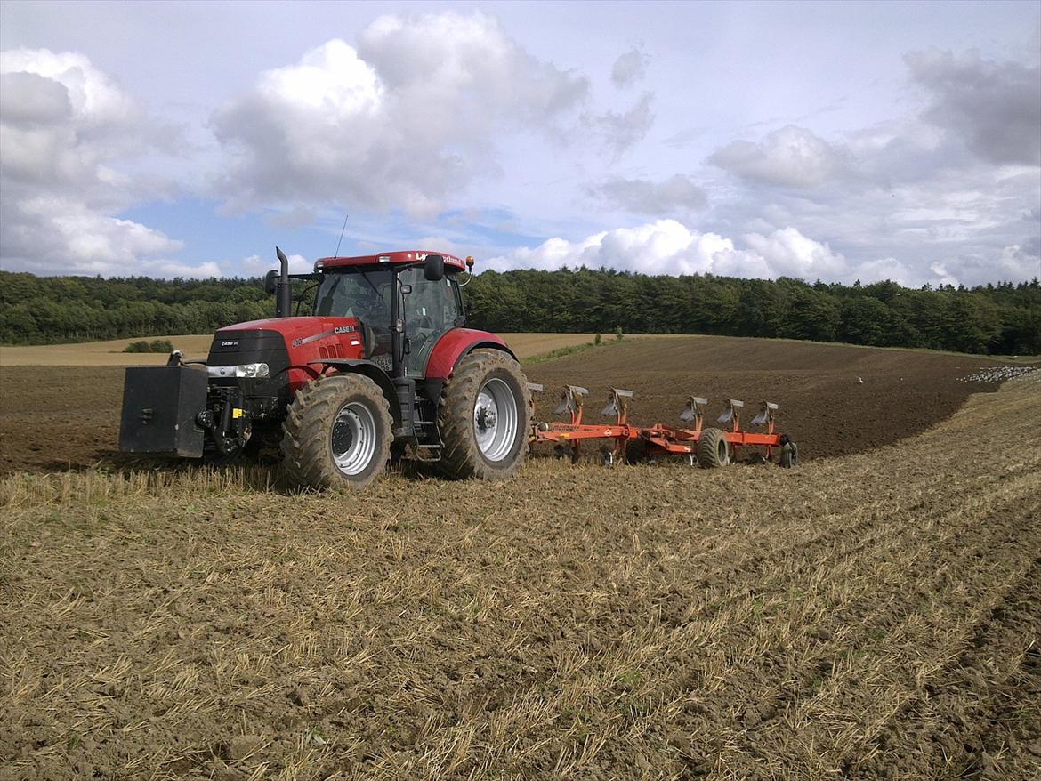 Case IH PUMA 210 - Ved at plove til vinterraps  billede 6