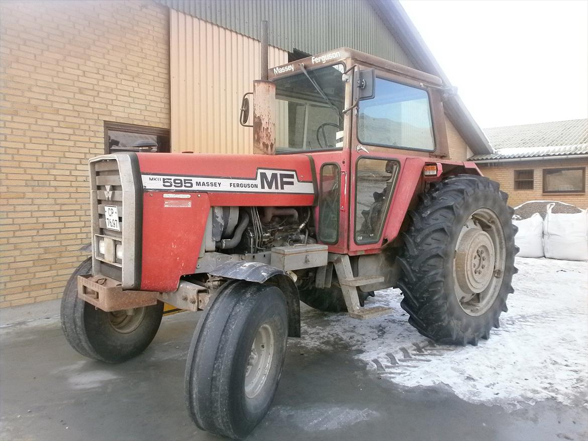 Massey Ferguson 595 - En dejlig vinterdag, hvor den lige var kommet ud i den friske luft :D  billede 1