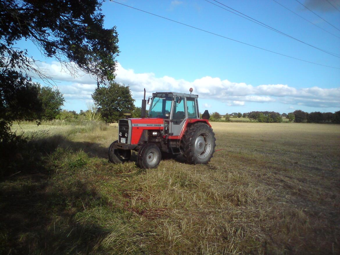 Massey Ferguson 699 billede 7