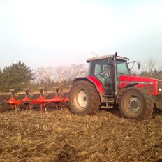 Massey Ferguson 6290