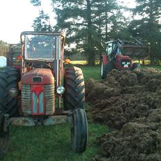 Massey Ferguson 65