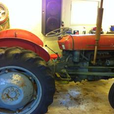 Massey Ferguson 35 Benzin