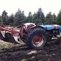 Fordson Major