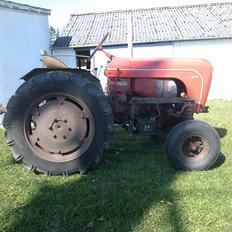 Porsche Allgaier Diesel