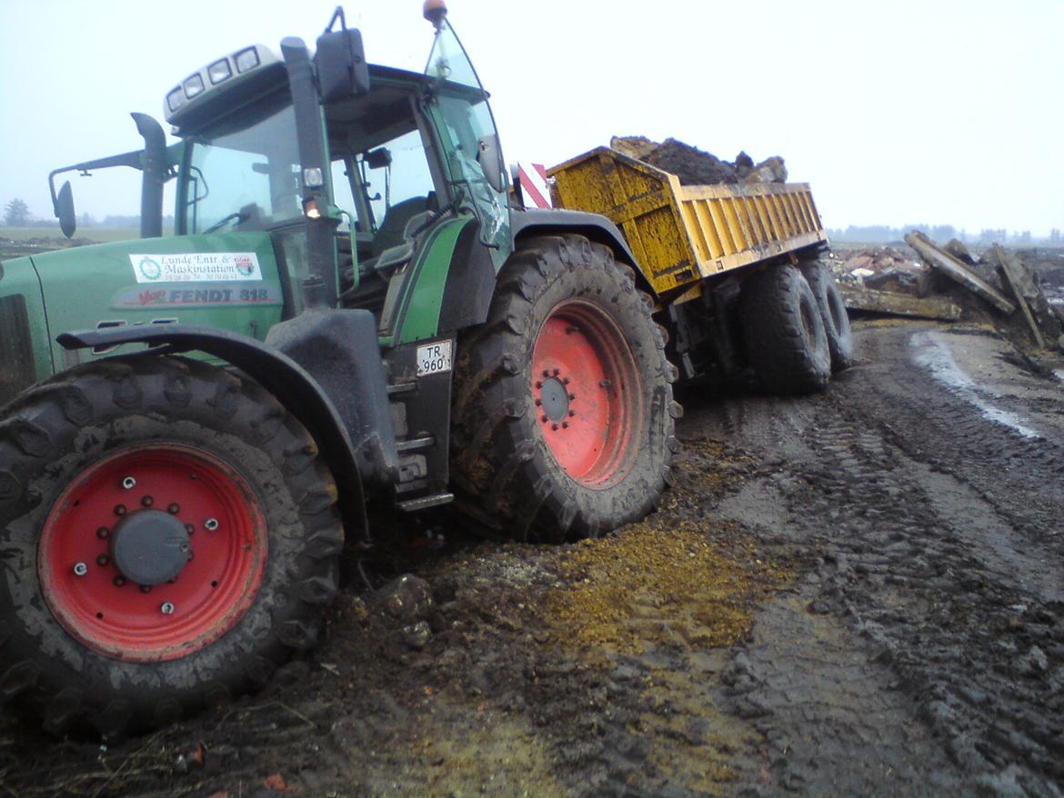 Fendt 818 - hov billede 13