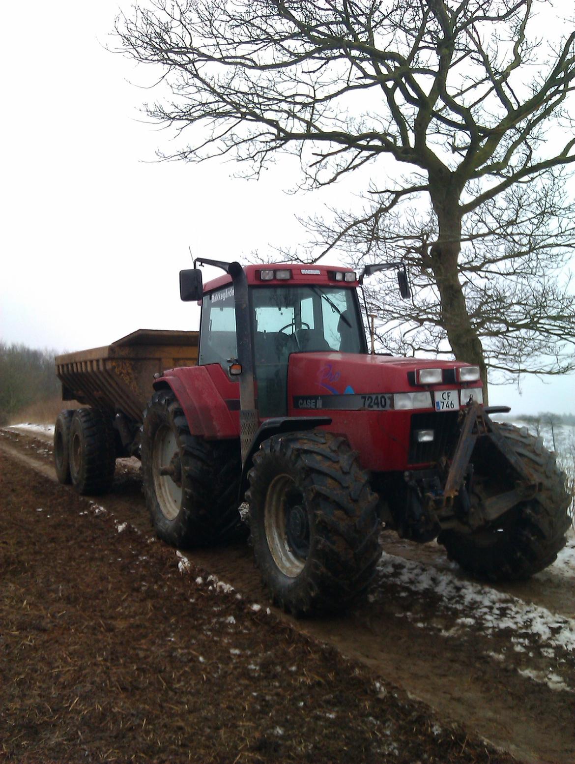 Case IH 7240 pro billede 11