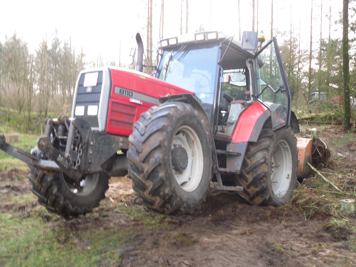 Massey Ferguson 8110 billede 1