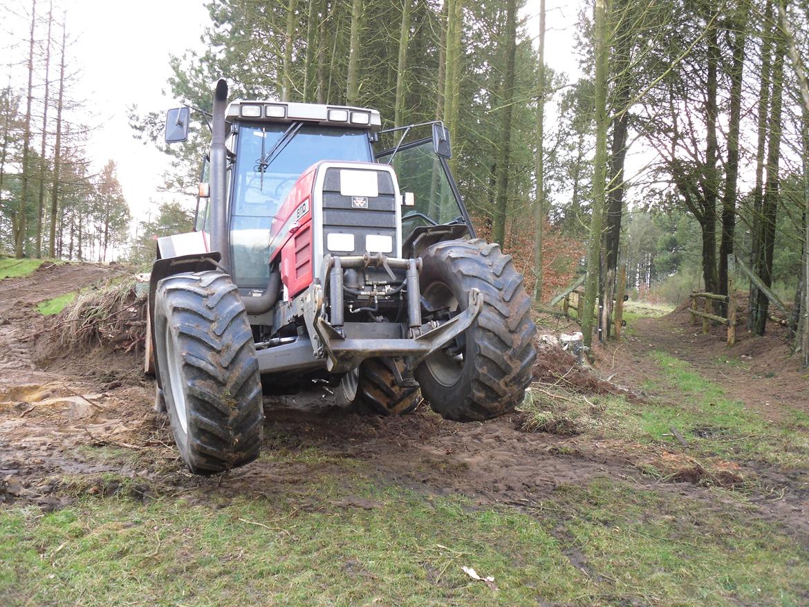 Massey Ferguson 8110 billede 3