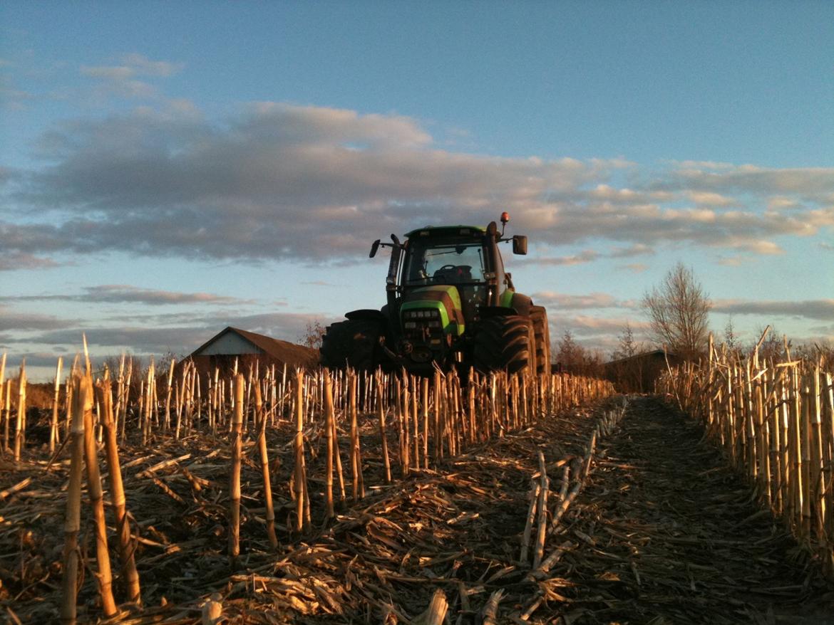 Deutz-Fahr TTV 1145 billede 6